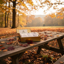 Luce d’Ottobre – Idea Regalo ALESSIRA